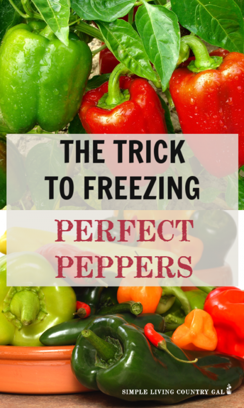 How to Freeze Peppers Simple Living Country Gal