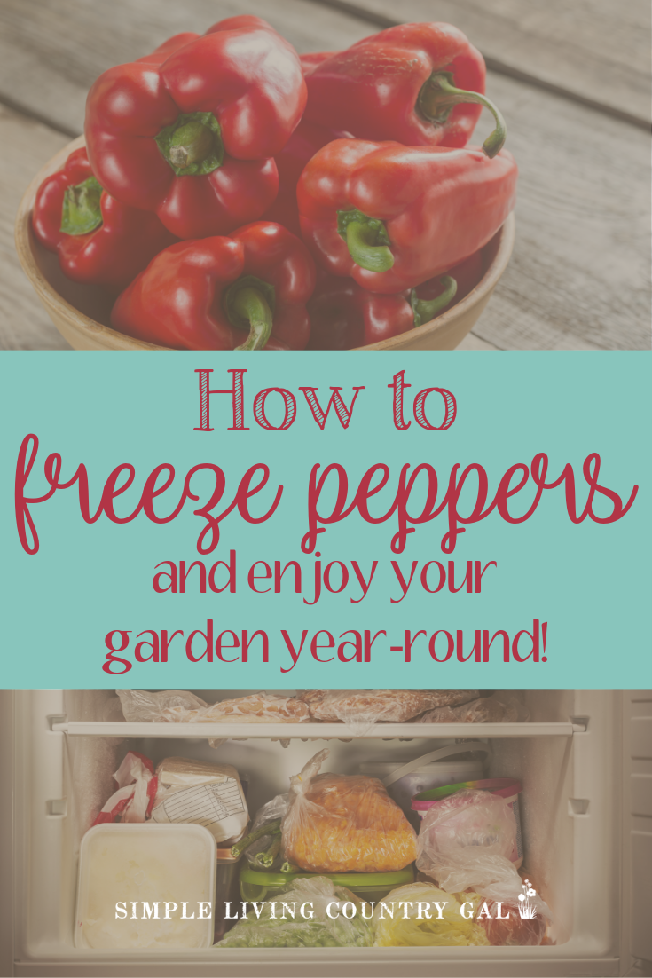 Do you have a bounty of peppers this year from your garden and not sure what to do with them? Worried if you freeze them you will only end up with a big block of ice? There is a trick to freezing peppers and this guide will walk you through what you need to do. #canningtips #garden #freezepeppers #canning