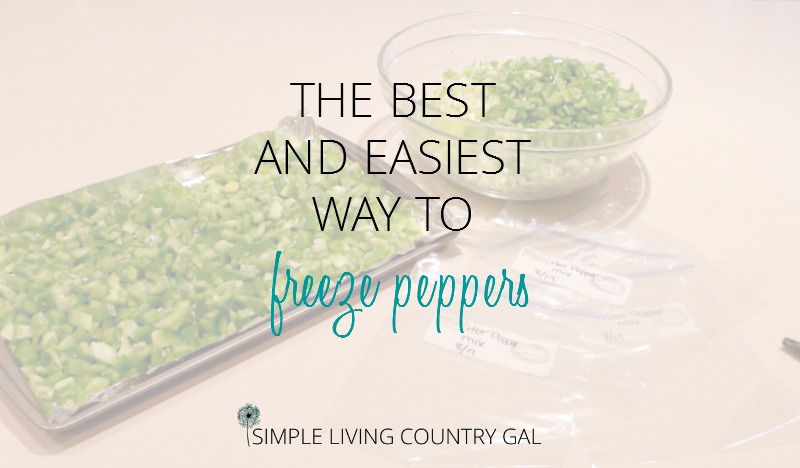 https://simplelivingcountrygal.com/wp-content/uploads/2017/08/how-to-freeze-peppers.jpg