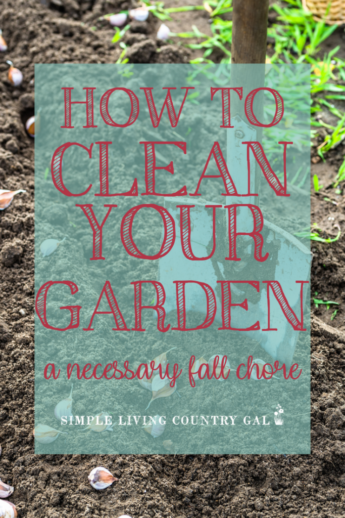 Fall garden clean up checklist. Everything you need to close up your vegetable garden and prepare it for spring planting. If you are a beginner gardener find out what you need to do to improve garden soil and stop garden pests so you can grow healthy tomatoes next summer. #gardentips #backyardgarden #gardening