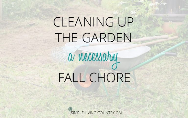 Cleaning up the Garden Fall Checklist
