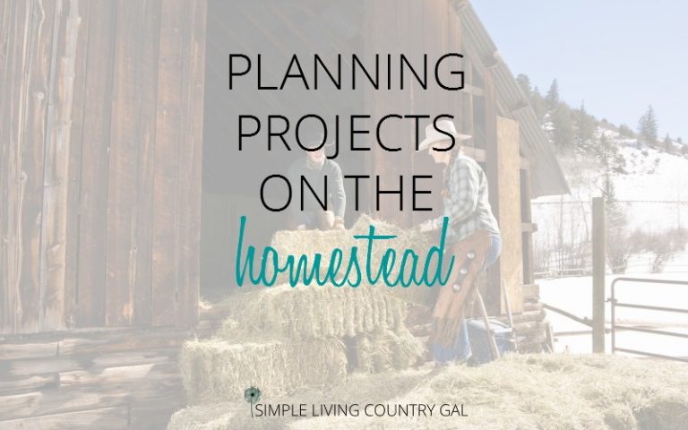 Planning Projects On The Homestead