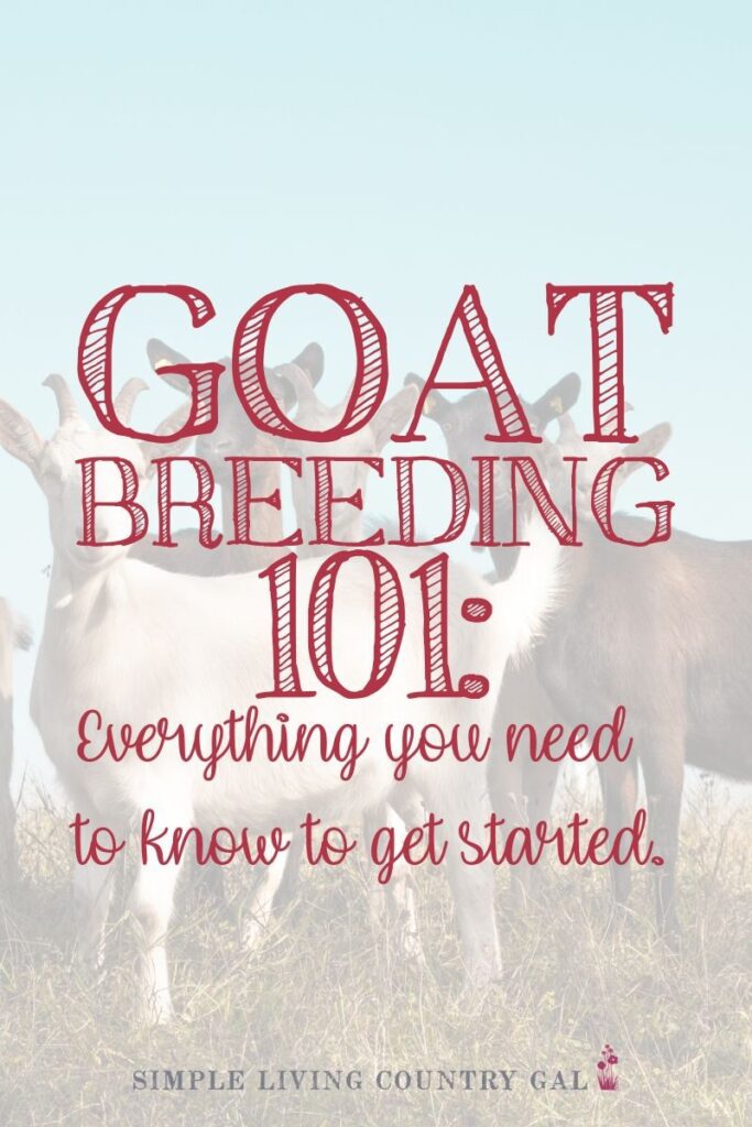 The easy way to breed your goats