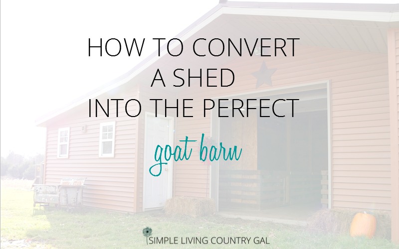 How To Convert A Shed Into A Goat Barn Simple Living Country Gal