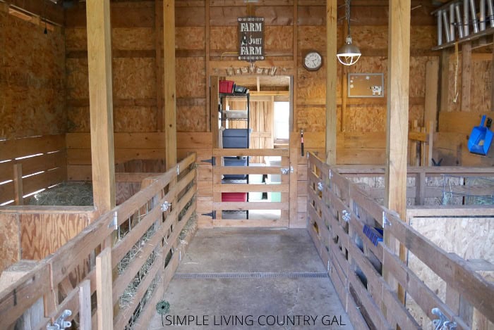 How To Convert A Shed Into A DIY Goat Barn Simple Living Country Gal