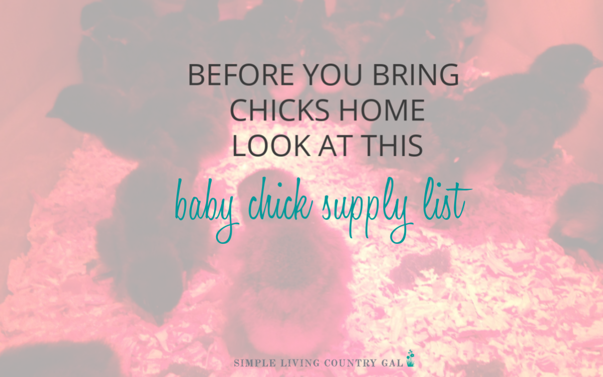 Baby Chick Supply List Simple Living Country Gal