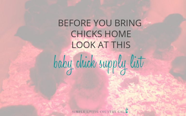 Baby Chick Supply List