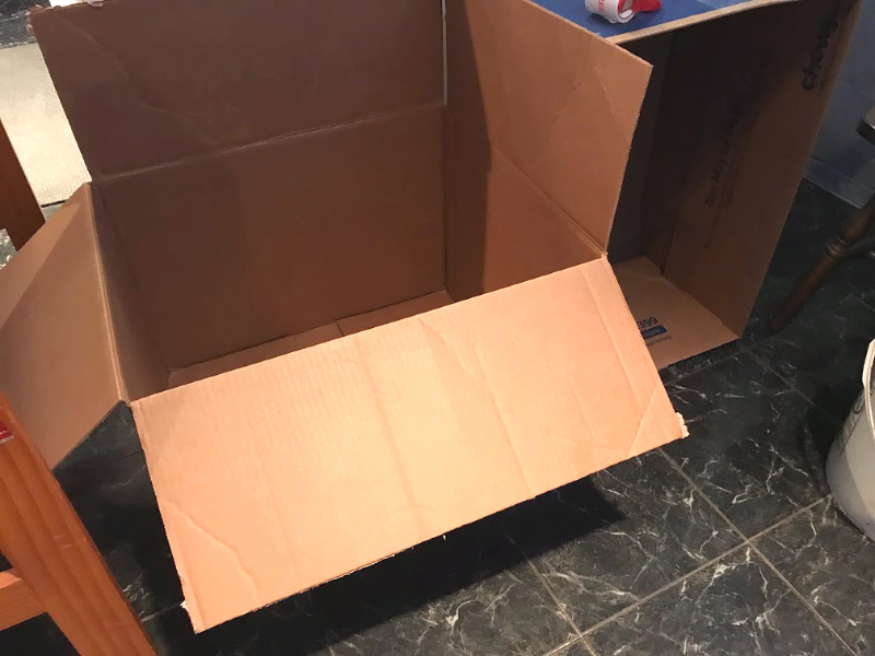 een kartonnen doos is geweldig om te gebruiken voor een kuikenbroeder