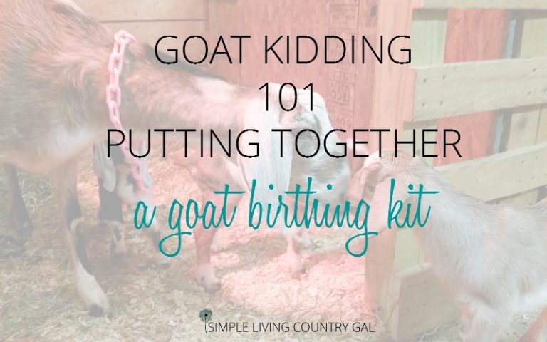 Putting Together A Goat Birthing Kit