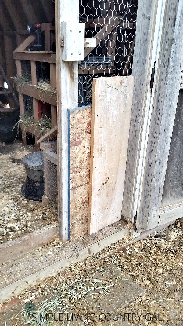 Wood panels seal off cracks that backyard chicken predators use to enter the coop