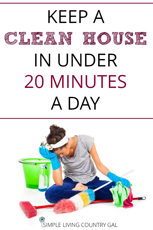 clean your house in 20 minutes