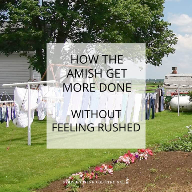 AMISH LIFESTYLE