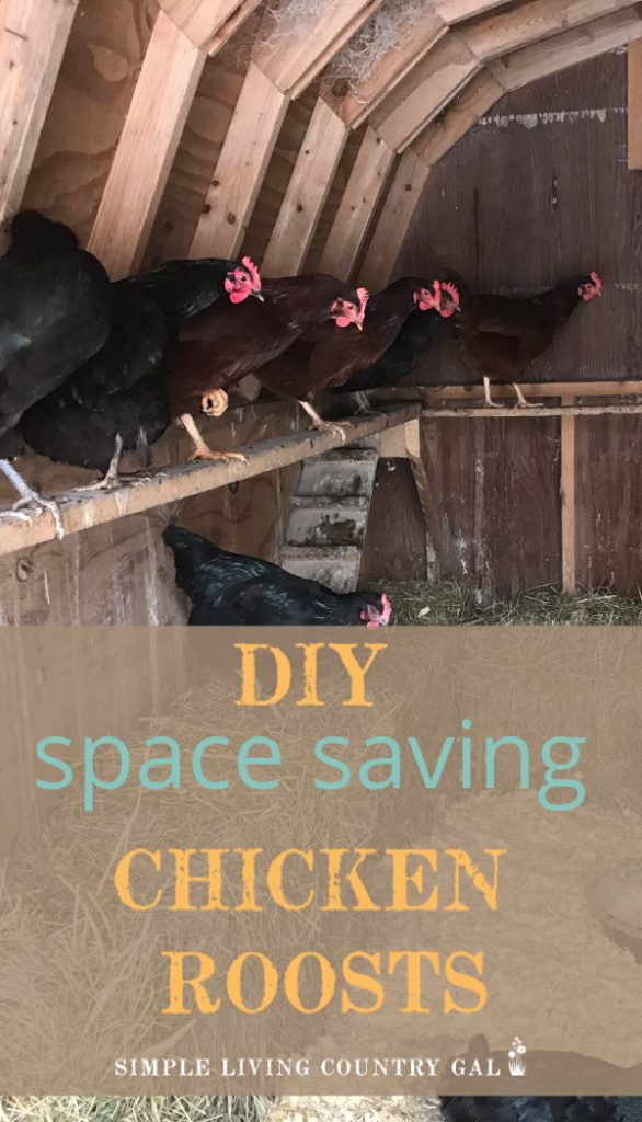 10 Ways To Upgrade Your Chicken Coop