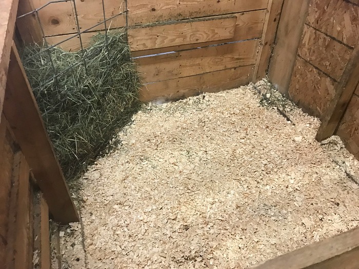 a goat birthing pen that is cleaned and full of wood shavings