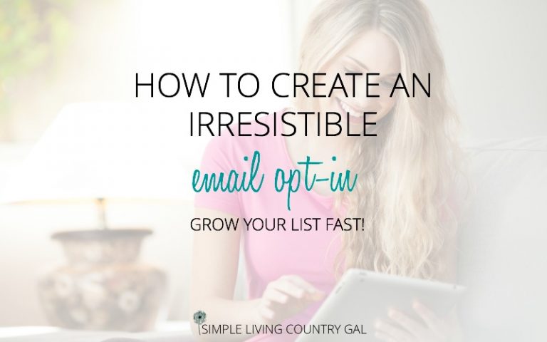 How to Create the Perfect Freebie to Grow Your Email List FAST!