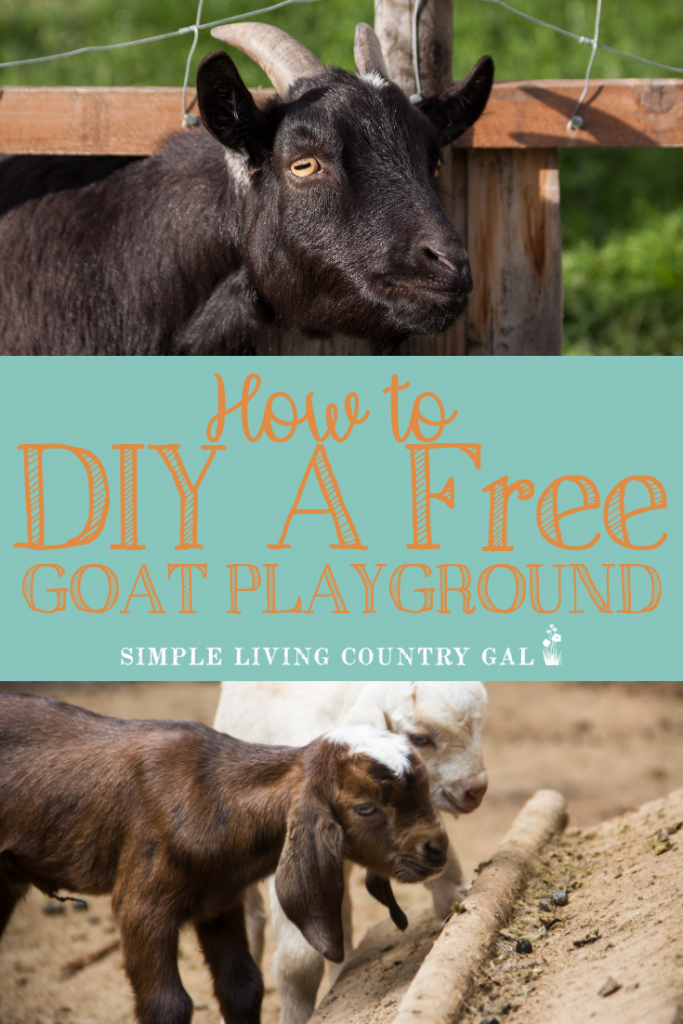 Building A Free DIY Goat Playground Step by Step Simple Living