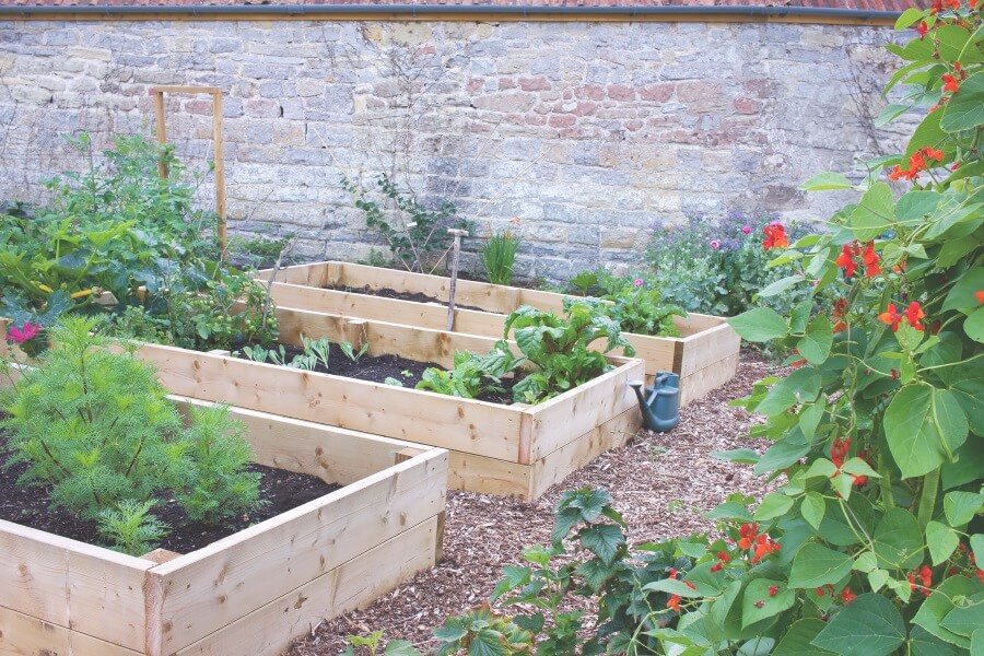 Raised garden beds on a homestead