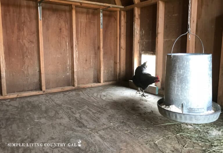 DIY Chicken Coop AllPurpose Cleaner Simple Living Country Gal