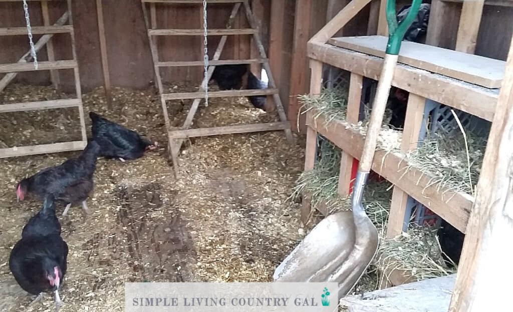 the inside of a chicken coop that is being cleaned out