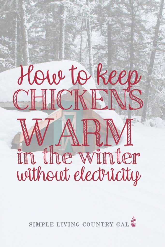 10 Tips on Caring for Chickens in Cold Winter Weather ~ Homestead