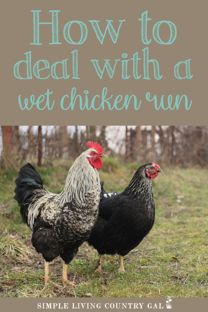 How To Deal With A Wet Chicken Run Simple Living Country Gal