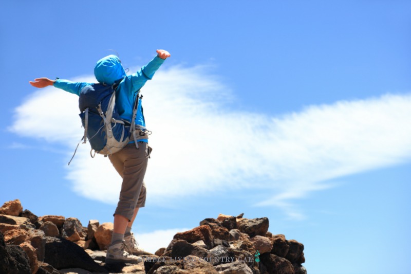 A hiker celebrates making the summit after goal setting