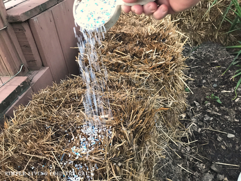 The process of conditioning your straw bales will help prepare them for planting and growing.