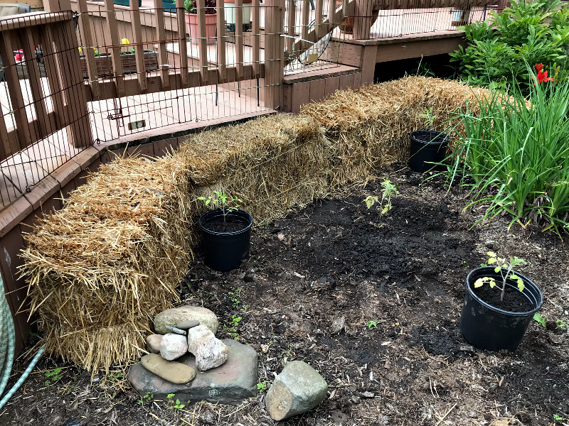 This straw bale garden is shaped in a U formation to make the most use of a smaller gardening space.