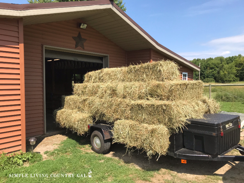 A wagon of hay ready to unload at a barn. Know the difference between straw and hay for mulching your garden. 