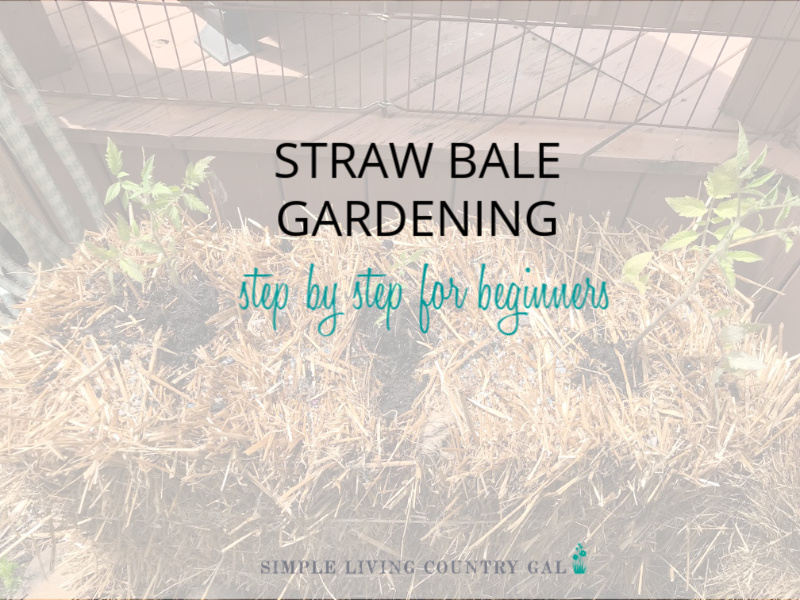 Why You Should Garden Using Straw Bales