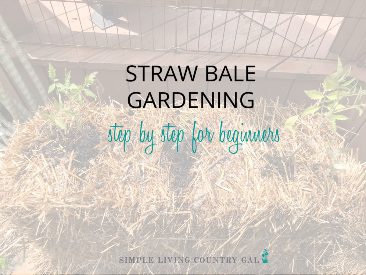 Straw Bale Gardening For Beginners Simple Living Country Gal