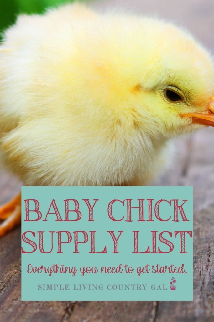 baby chick supply list