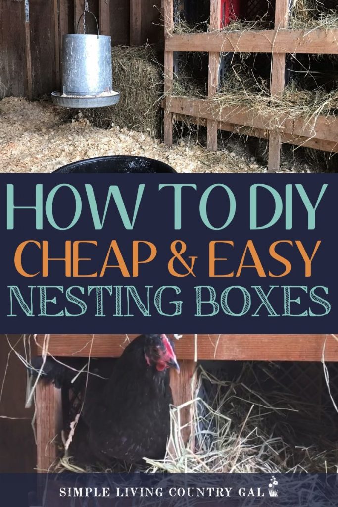 How to build external nest boxes for your chicken coop