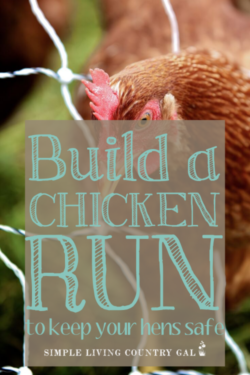 How to Build a Chicken Run Simple Living Country Gal