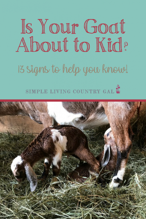 13 Goat Kidding Signs Simple Living Country Gal