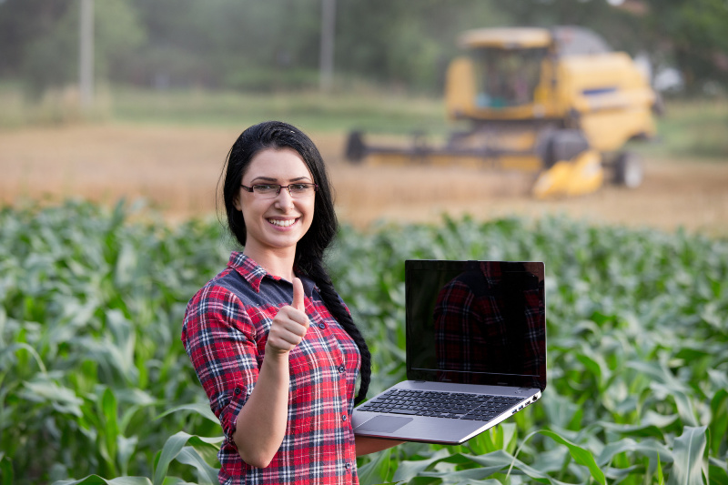 Woman in a field blogging about her homestead. Blogging is one way to make an income while homesteading. 
