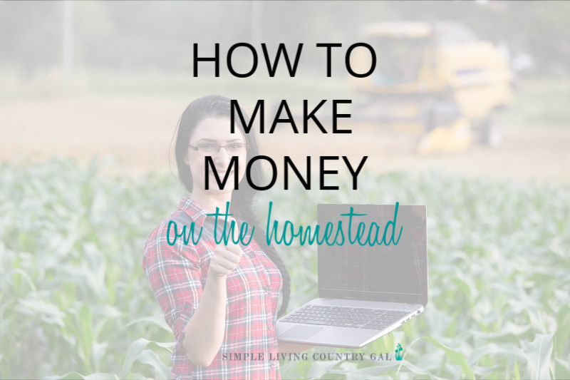 Ways To Make Money On The Homestead – How We Make A Full-Time Income