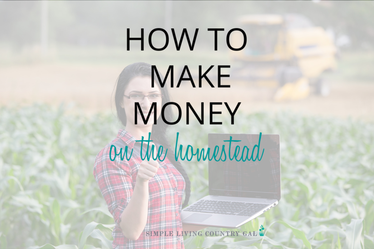 how to make money living in the country