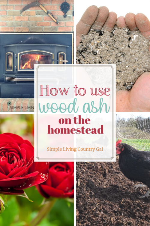 How To Use Wood Ash On Your Homestead Simple Living Country Gal