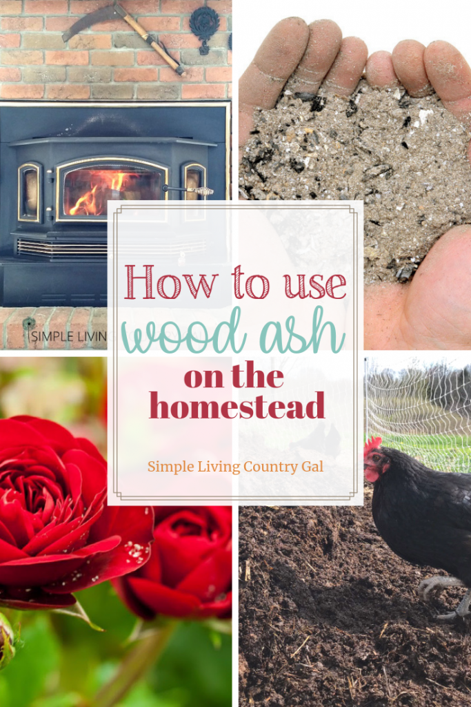 Using wood ash in the garden 