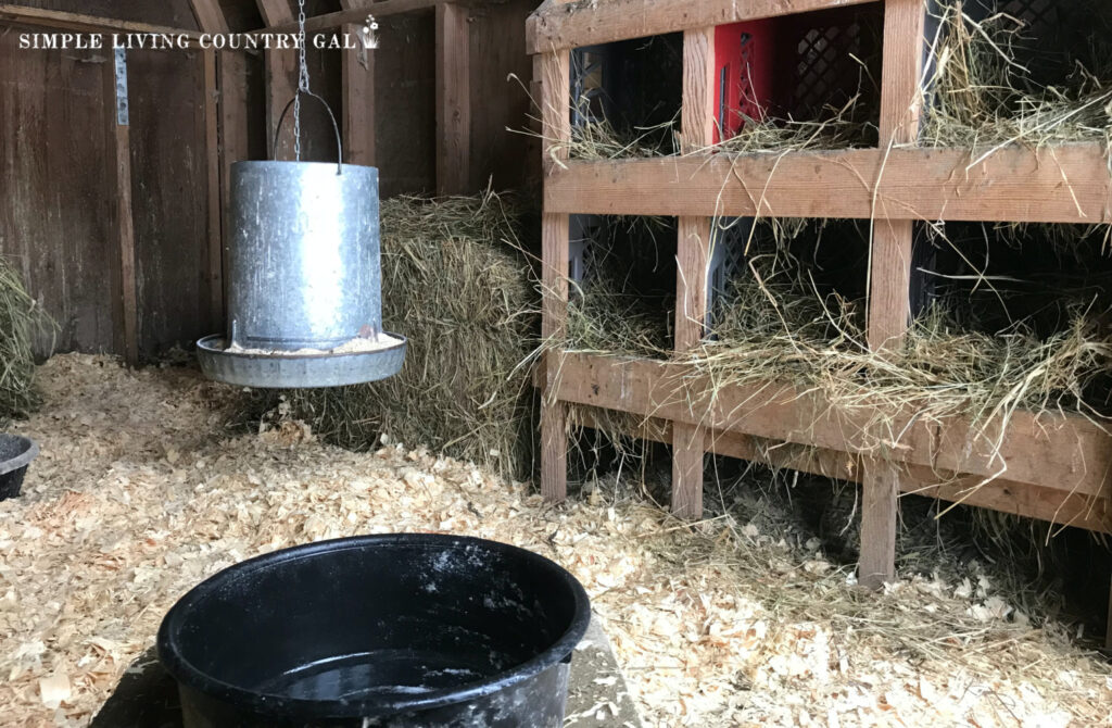 milk crate nesting boxes inside of a chicken coop