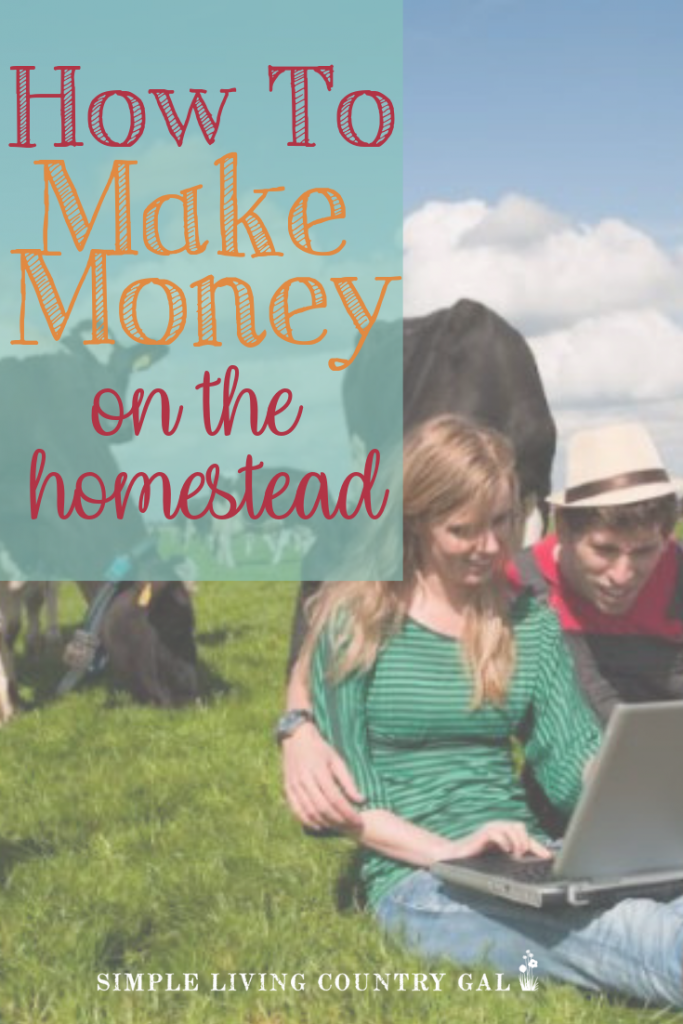 Ways To Make Money On The Homestead How We Make A Full Time Income Simple Living Country Gal - how to get money on homestead roblox