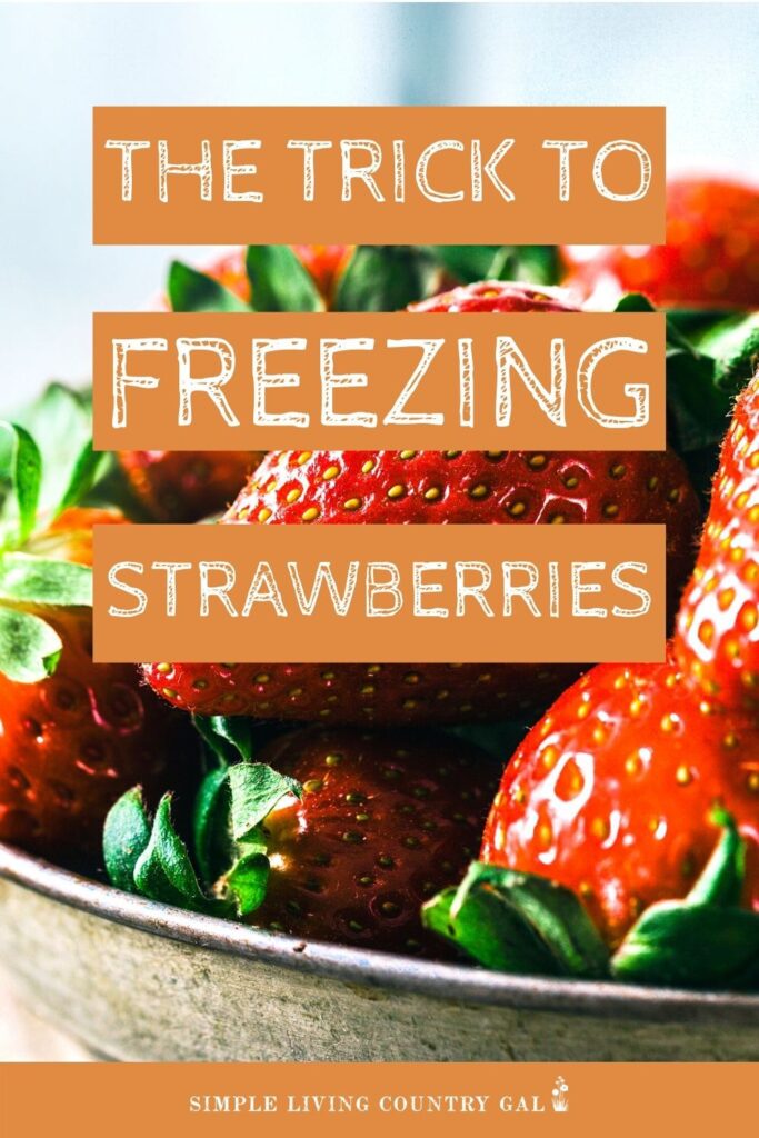 how to freeze strawberries 
