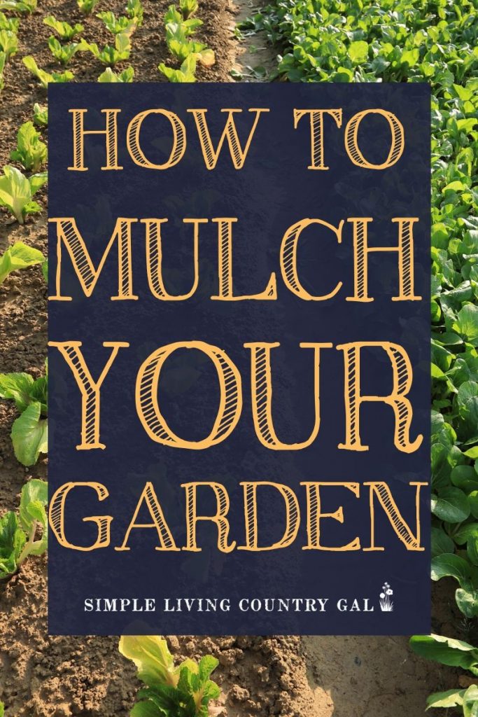 If you love to garden but hate to weed, then this post is for you. How to use mulch in your garden to grow bigger vegetables. Weed less and grow fresh organic vegetables using natural material. My super simple and incredibly effective tip that will keep you out of your garden and off your needs this growing season. #garden #gardentips #gardeningforbeginners #slcg