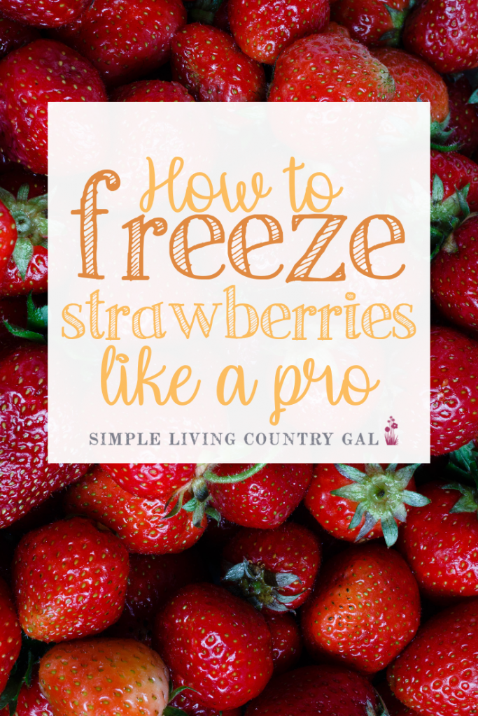 freeze_strawberries pin