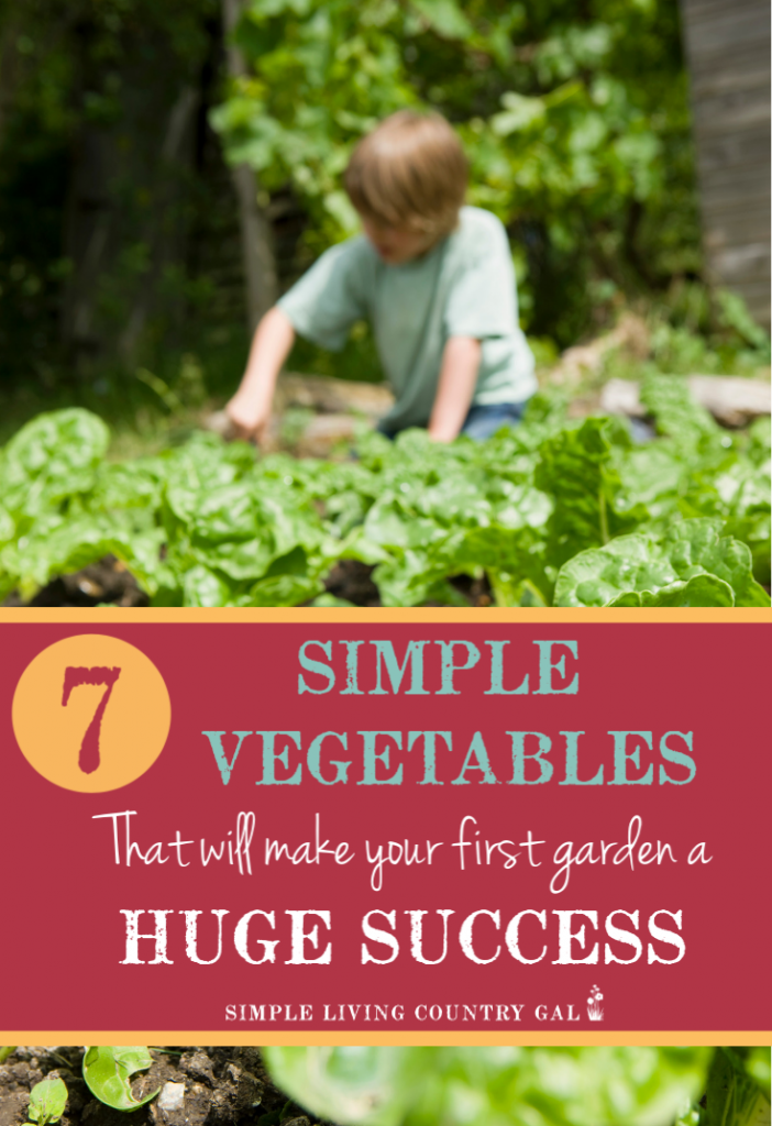 7 Easy First Time Gardener Vegetables To Grow Simple Living