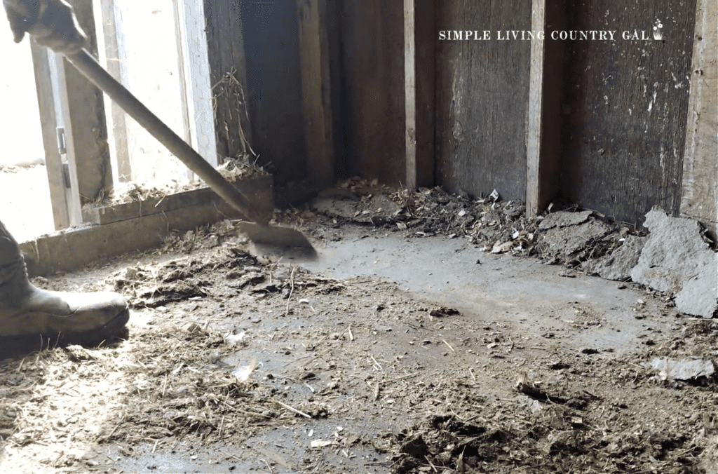 a woman using a shovel to clean the floor of a chicken coop