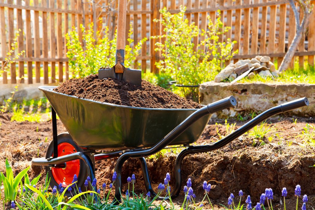 A wagon, like this one full of soil in a summer garden, is an excellent simple gift idea. 
