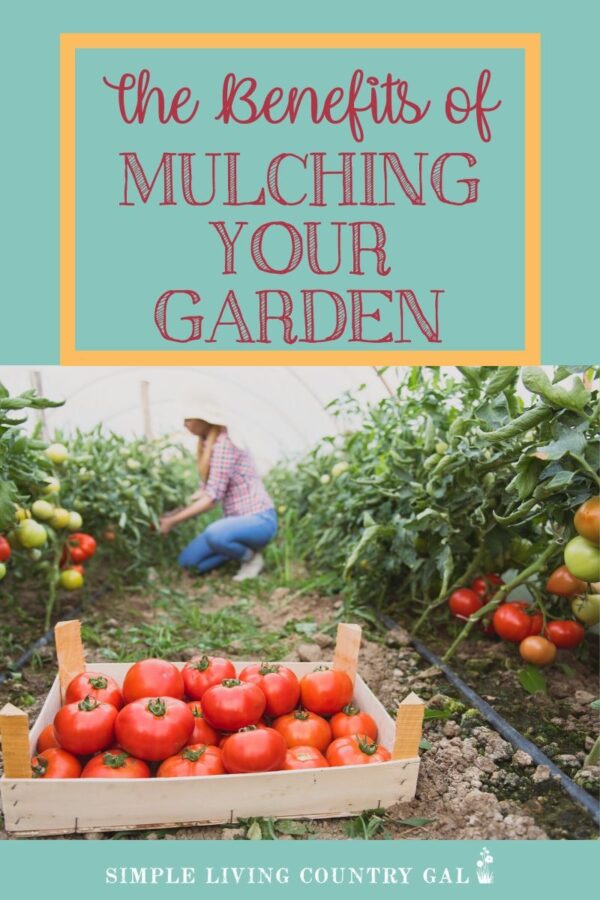 The Benefits Of Mulching Your Garden Simple Living Country Gal