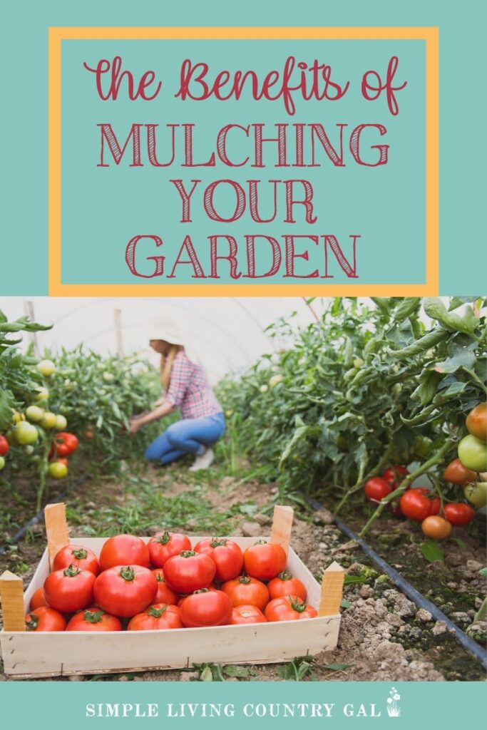 mulching your garden